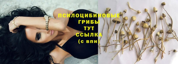 синтетический гашиш Нефтегорск