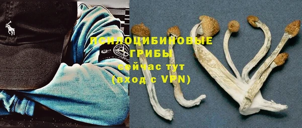 синтетический гашиш Нефтегорск