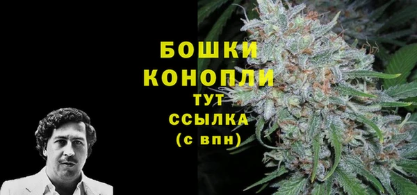 ECSTASY Нея