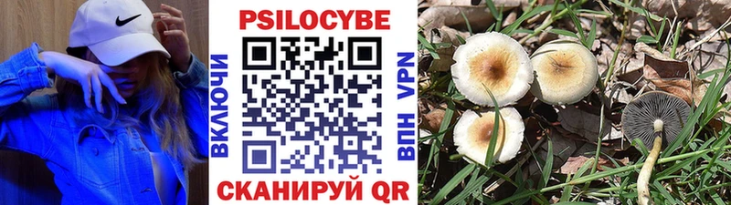 Псилоцибиновые грибы GOLDEN TEACHER Калтан